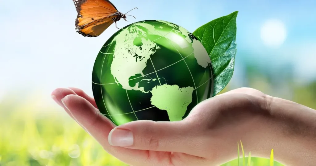 solar panel for homes in dindigul